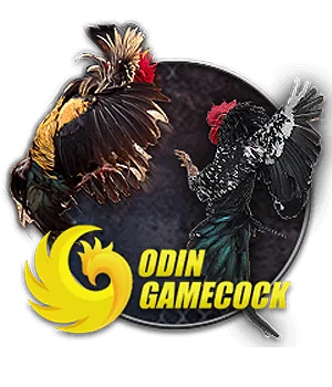 OD COCK ANIMAL (ชนไก่) L86